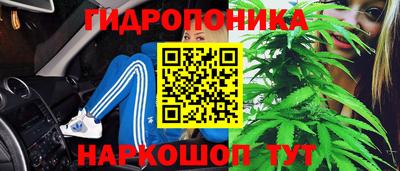 2c-b Рыбинск